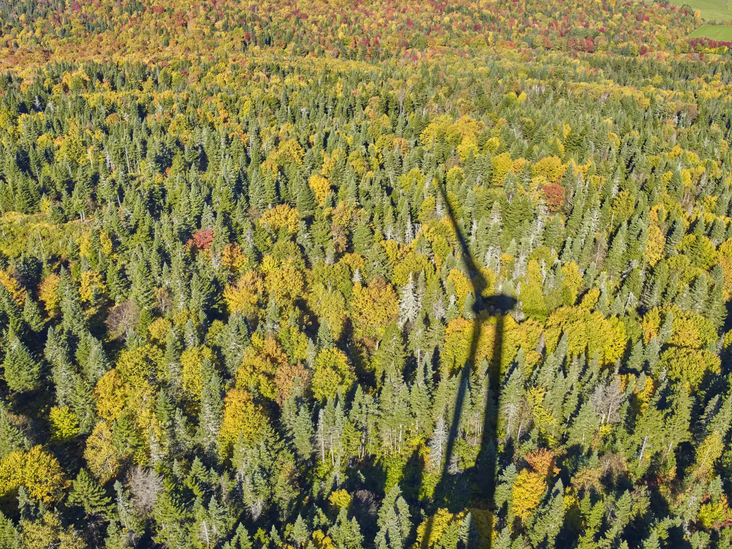 Picture of 159-cf014397.jpg